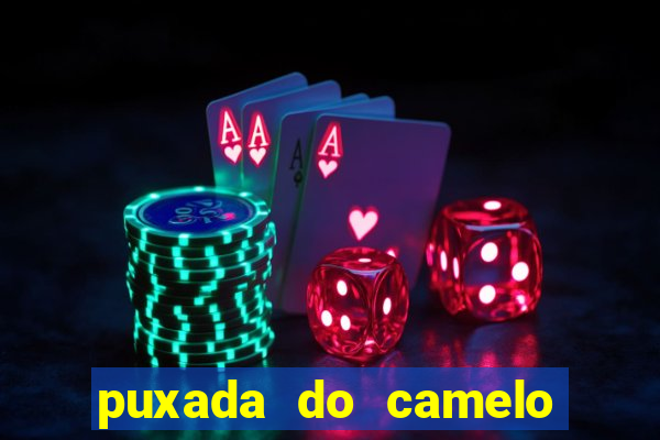 puxada do camelo no jogo do bicho